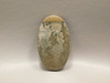 Cotham Marble Fossil Stromatolite Stone Cabochon England #9