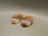 Candy Opal Matched Pairs Gemstones Cabochons Bacon Striped #8