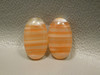 White and Orange Carnelian Agate Cabochons Earring Matched Pairs #11