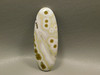 Orbicular Ocean Jasper Designer Cabochon #8