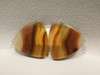 Brazilian Piranha Agate Cabochons Matched Pairs #20