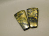 Apache Gold Matched Pairs Cabochons Black Stone #17
