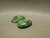 Green Webbed Variscite Designer Cabochon Pairs Small Ovals Stones #9