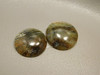 Arizona Pietersite Chatoyant 16 mm Round Pair Stone Cabochons #7