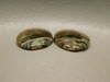 Arizona Pietersite Chatoyant 16 mm Round Pair Stone Cabochons #2