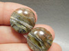 Arizona Pietersite Chatoyant 16 mm Round Pair Stone Cabochons #2