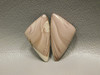 Willow Creek Jasper Matched Pair Cabochon Stones #2