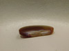 Laguna Agate Cabochon #16