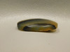 Brazilian Piranha Agate Cabochon #16