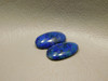 Azurite Malachite Bluebird Matched Pair Cabochons #10