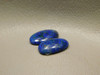 Azurite Malachite Bluebird Matched Pair Cabochons #10