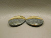 Starry Night Picture Jasper Matched Pair Cabochons #13