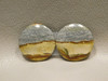 Starry Night Picture Jasper Matched Pair Cabochons #13