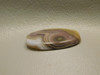 Coyamito Agate Cabochon #18