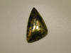 Apache Gold Cabochon #4