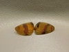 Brazilian Piranha Agate Matched Pair Cabochons #2