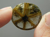 Star Rutile Quartz Cabochon #SRQ9