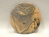 Biggs Jasper Cabochon #2