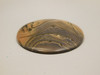 Biggs Jasper Cabochon #2