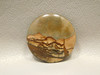 Biggs Jasper Cabochon #11