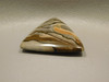 Biggs Jasper Cabochon #22