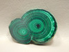 Malachite Stalactite Cabochon #1