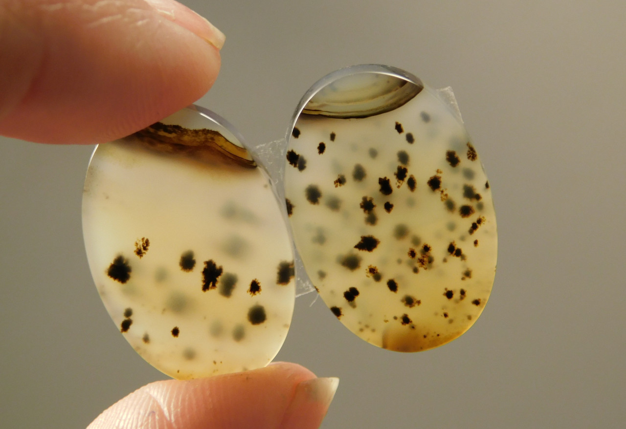 Montana Agate Matched Pair Cabochons Translucent #10