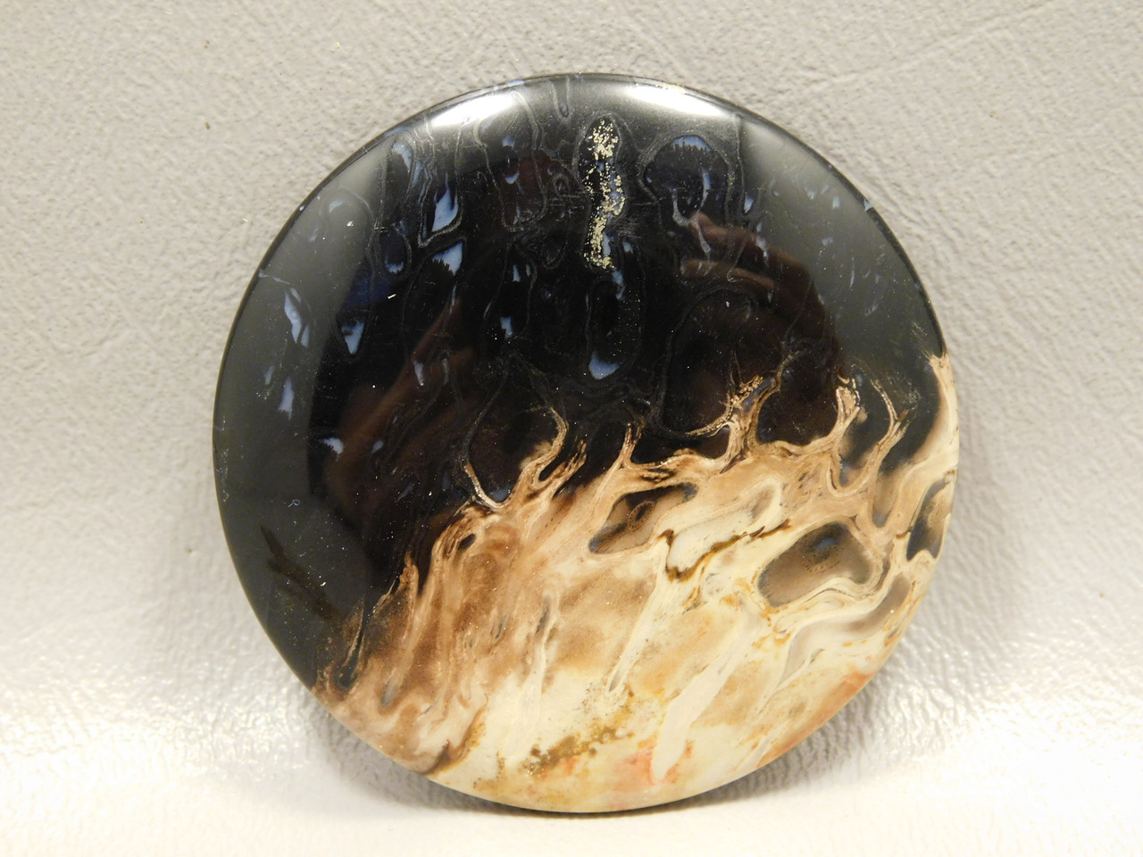 Petrified Palm Wood Cabochon Indonesia #11