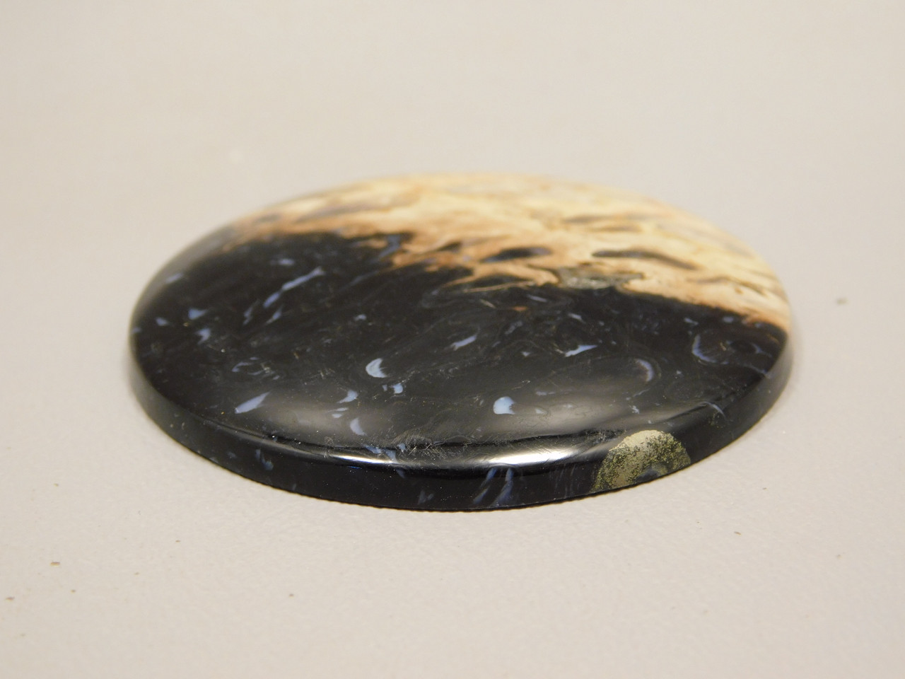 Petrified Palm Wood Cabochon Indonesia #13