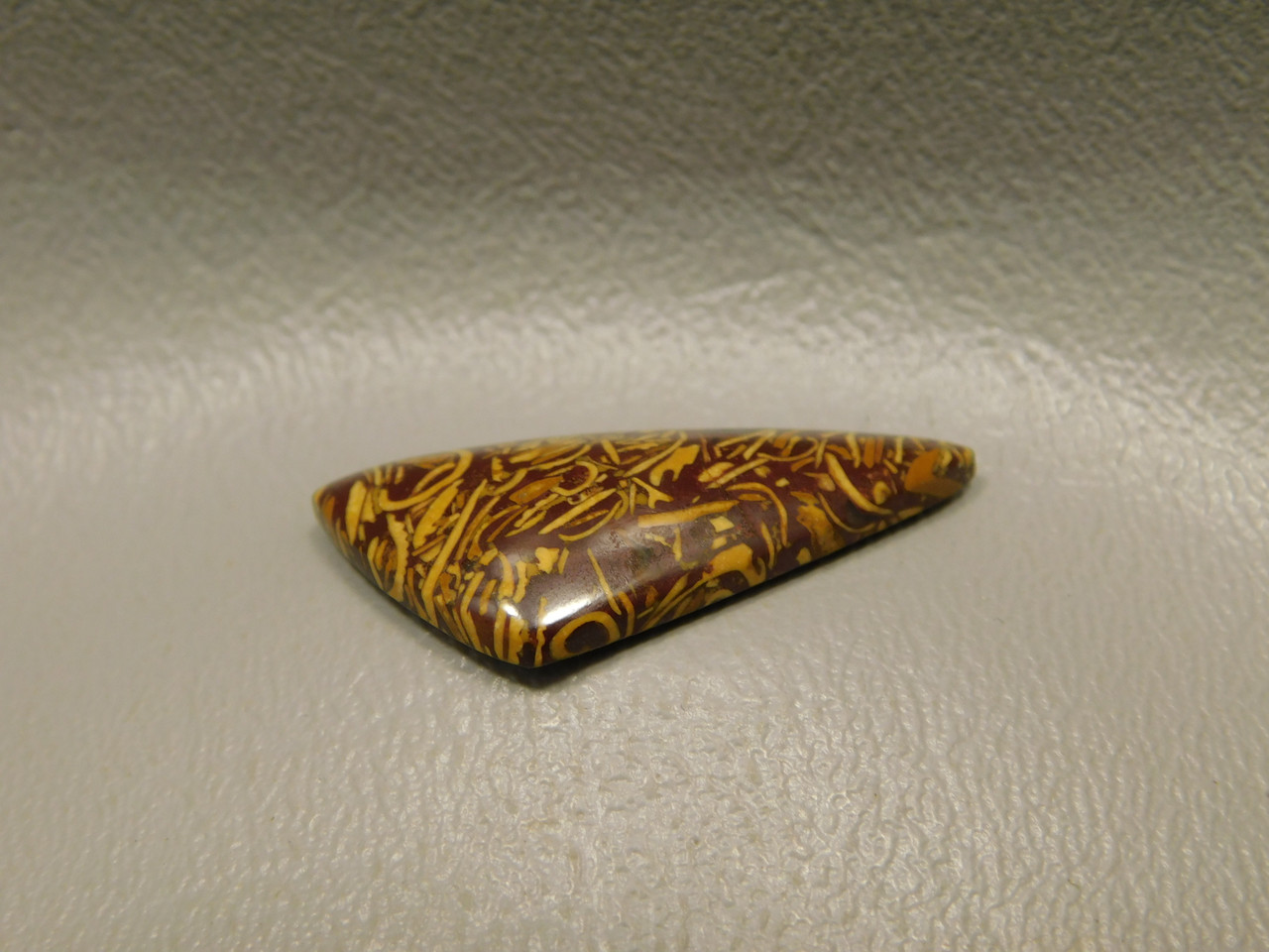 Coquina Jasper Cabochon #20