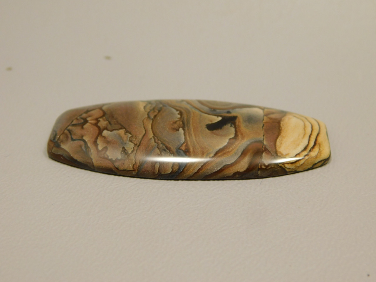 Biggs Jasper Cabochon #1