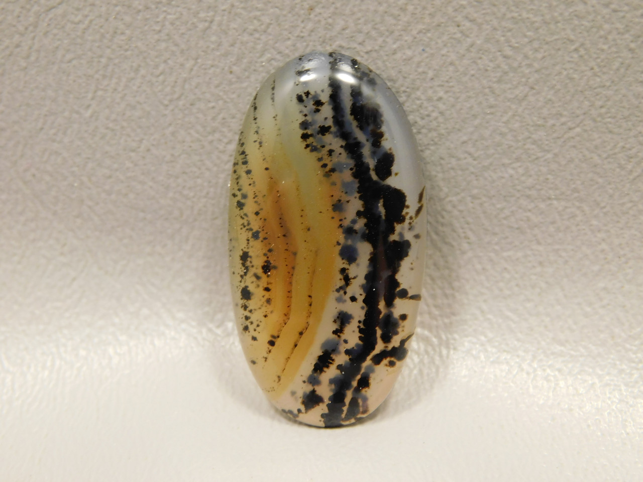 Montana Agate Cabochon #4