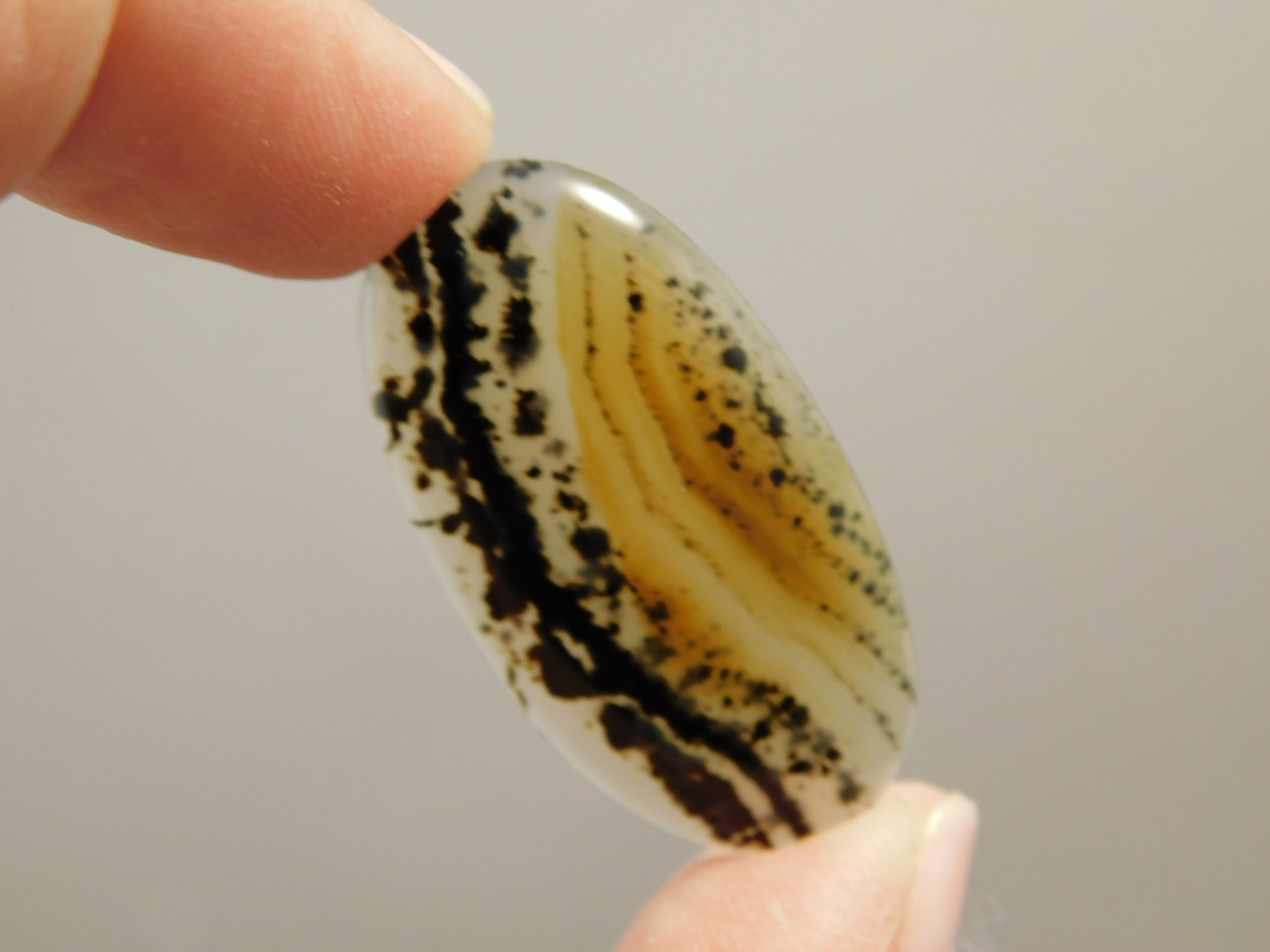 Montana Agate Cabochon #4