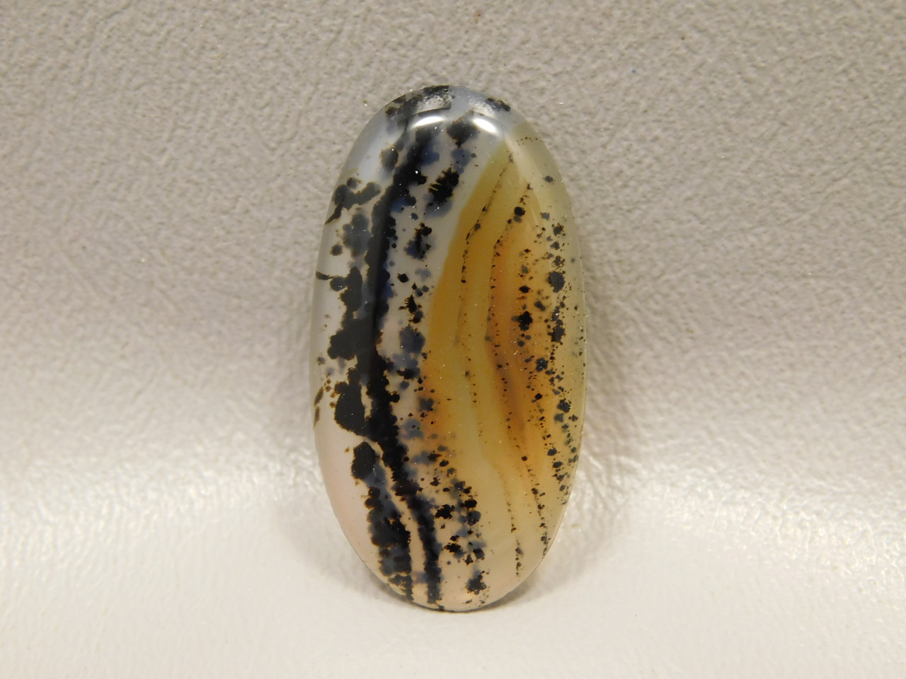 Montana Agate Cabochon #4