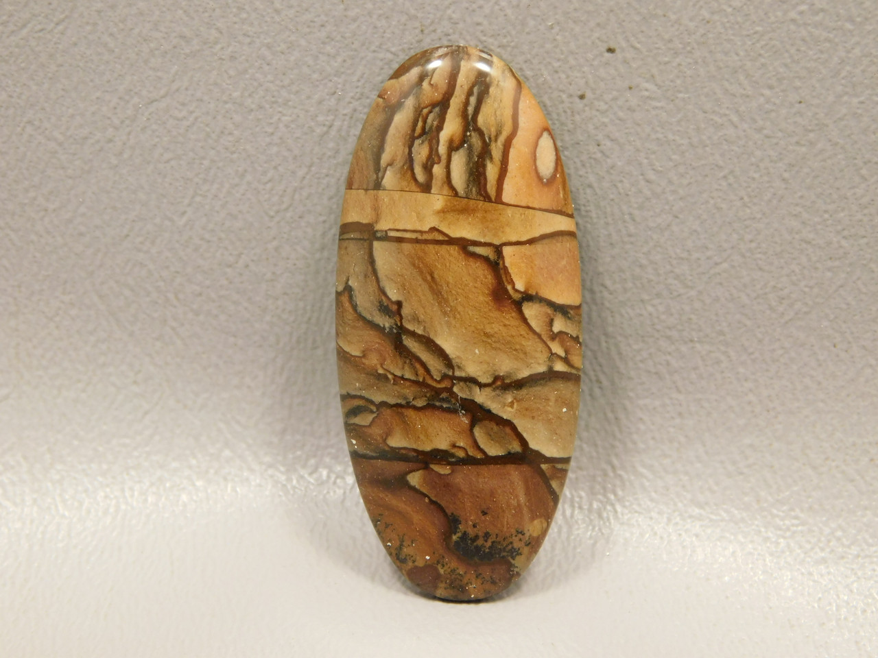 Biggs Jasper Cabochon #21