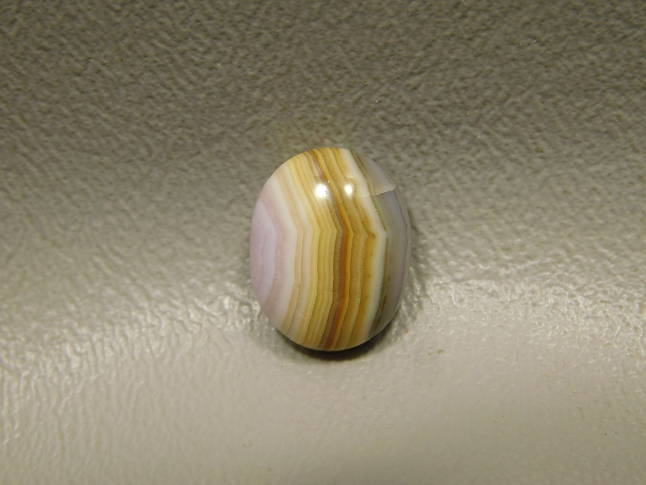 Coyamito Agate Cabochon #13