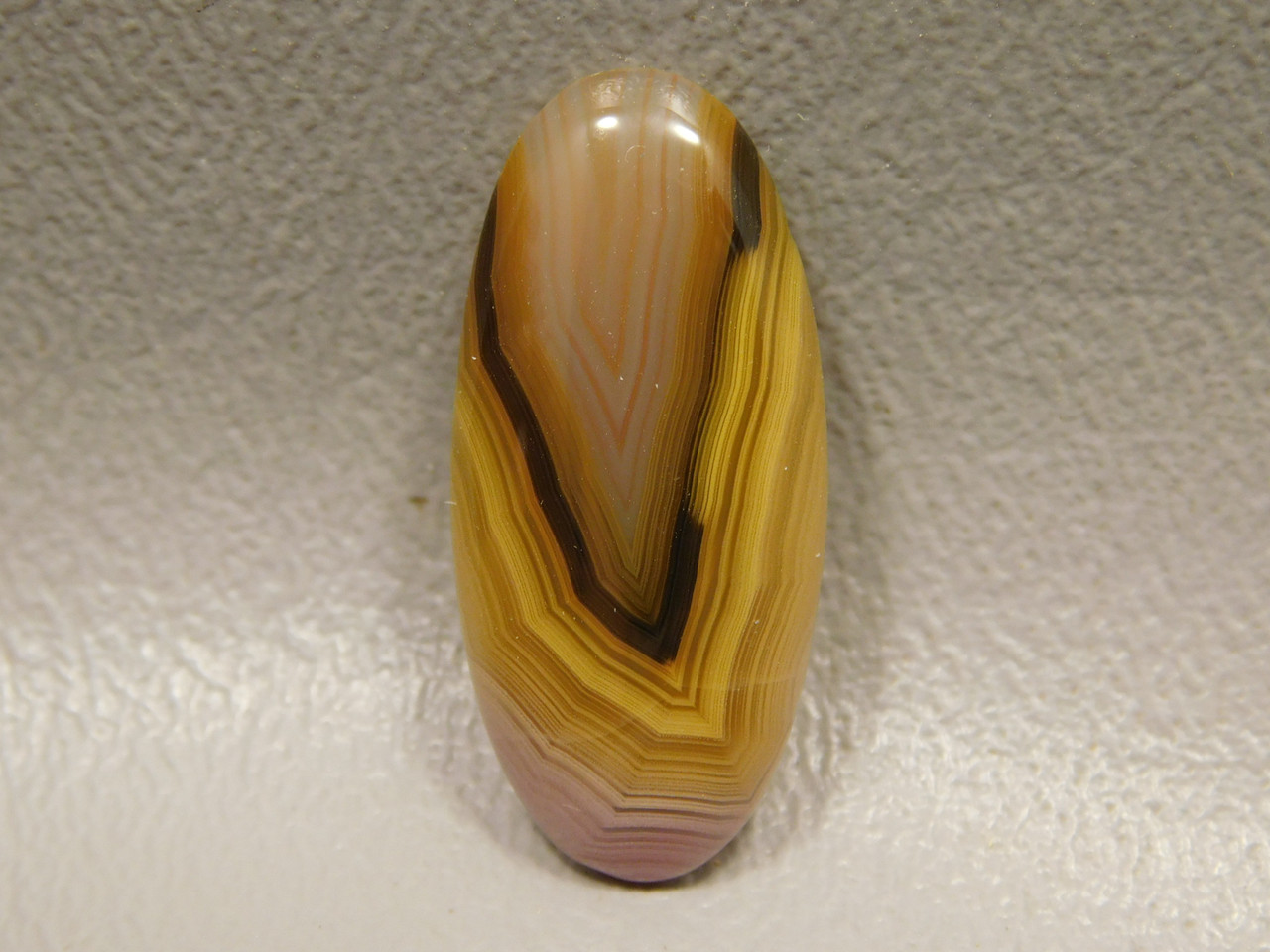 Coyamito Agate Cabochon #8