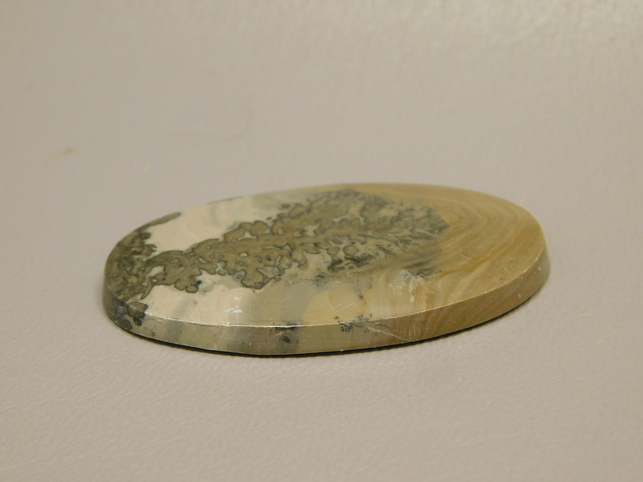 Cotham Marble Cabochon #8