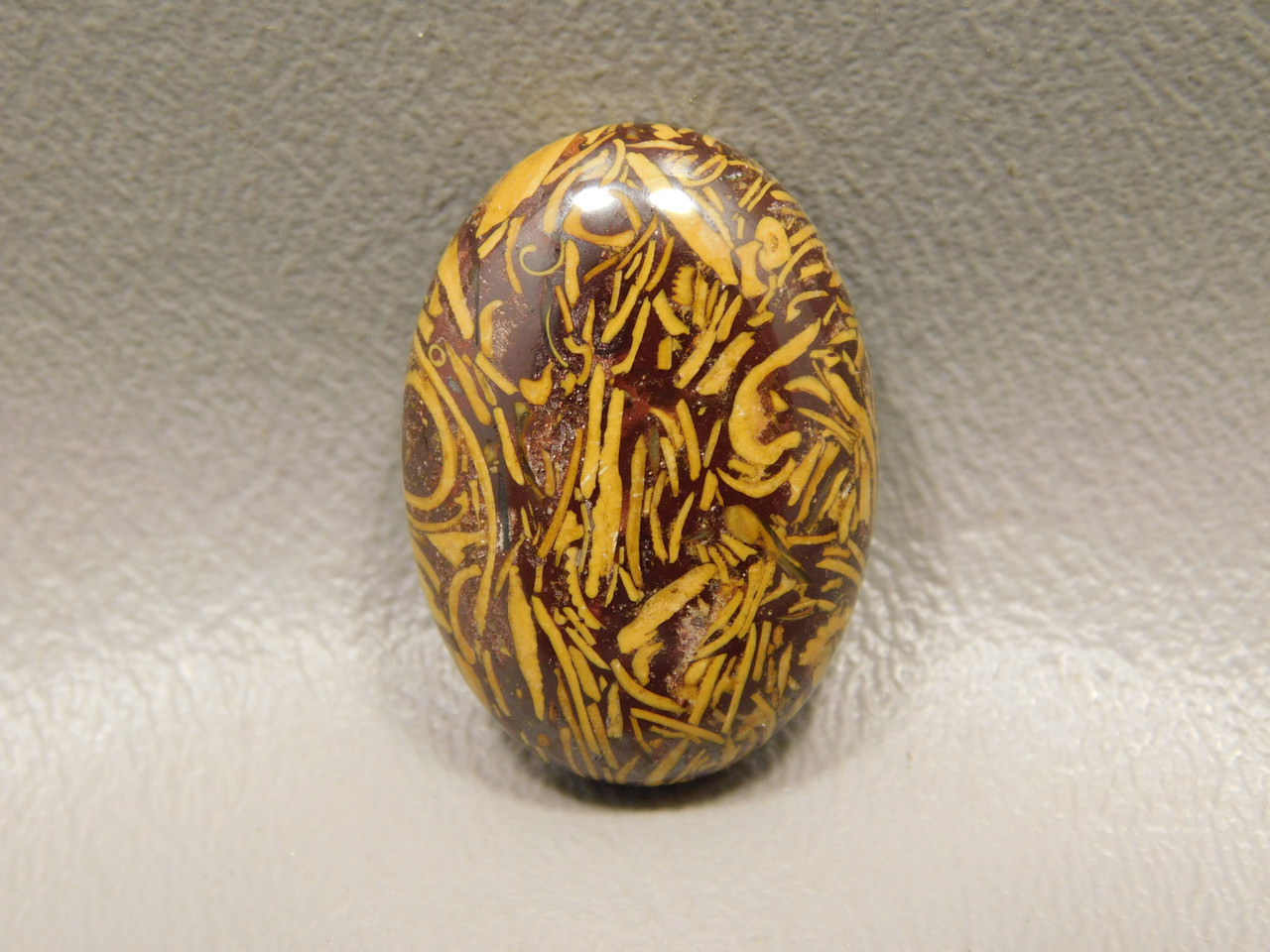 Coquina Jasper Cabochon #10