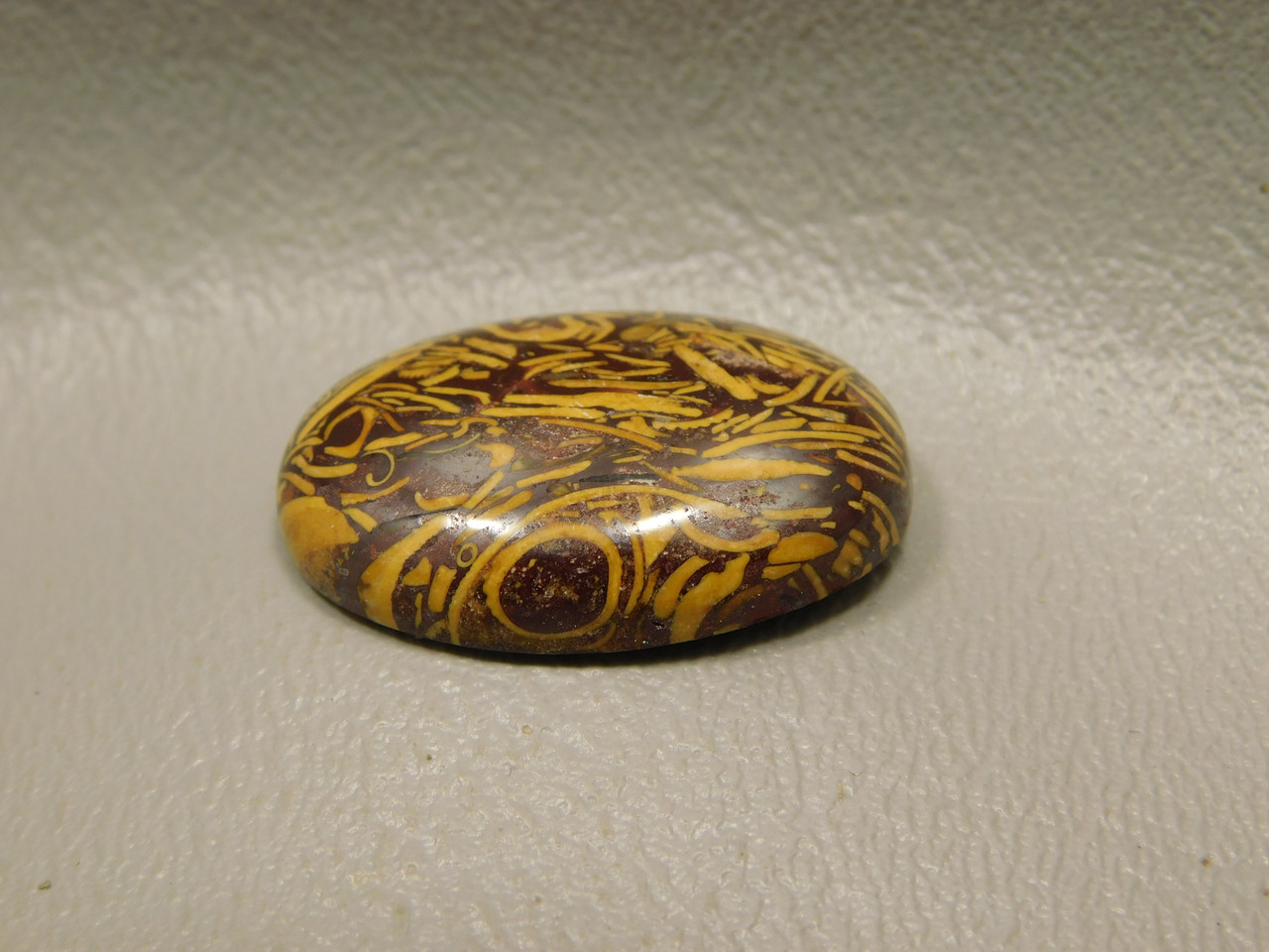 Coquina Jasper Cabochon #10