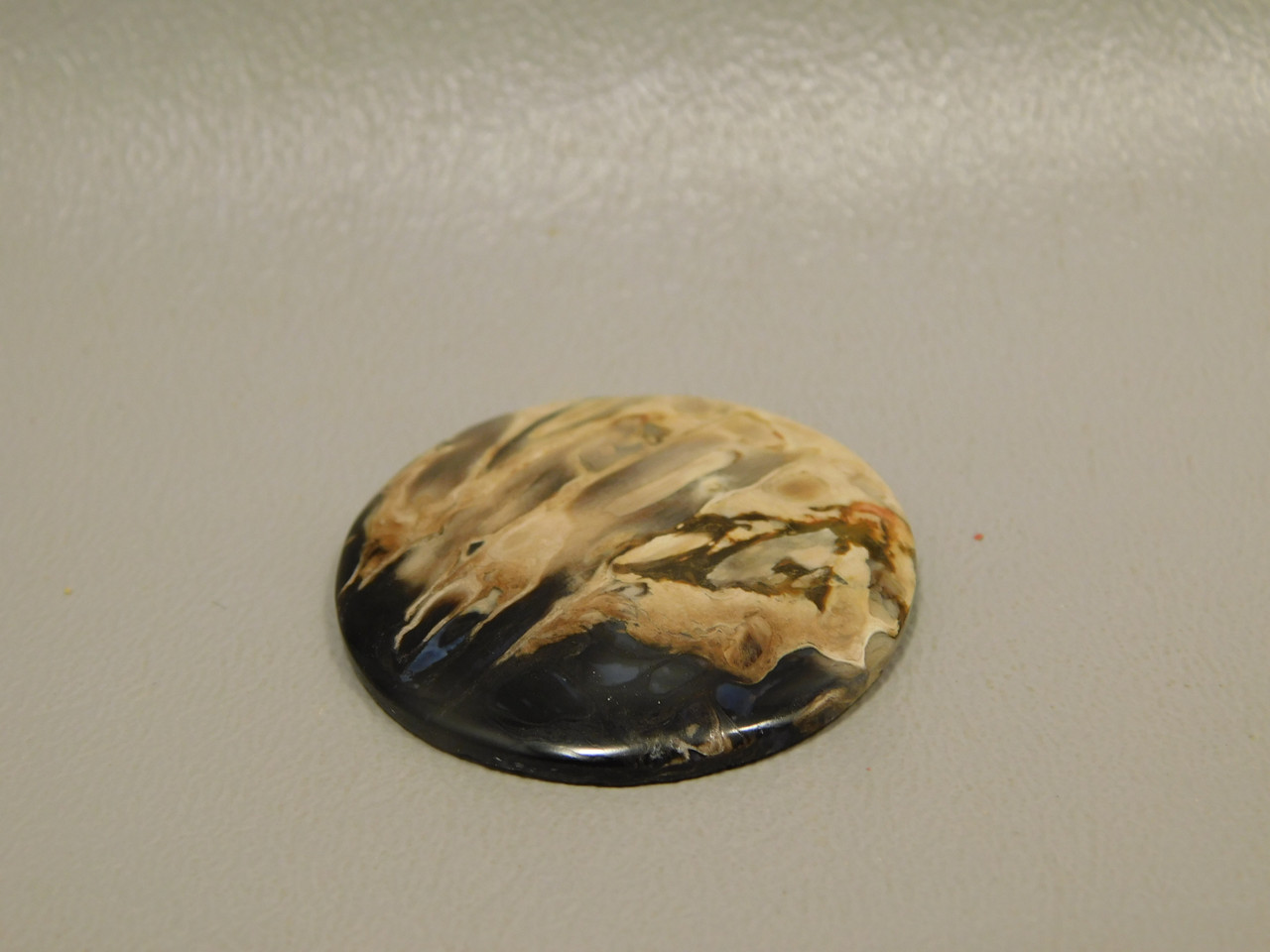 Petrified Palm Wood Cabochon Indonesia #12