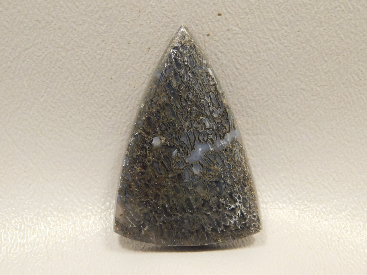 Dinosaur Bone Cabochon #1