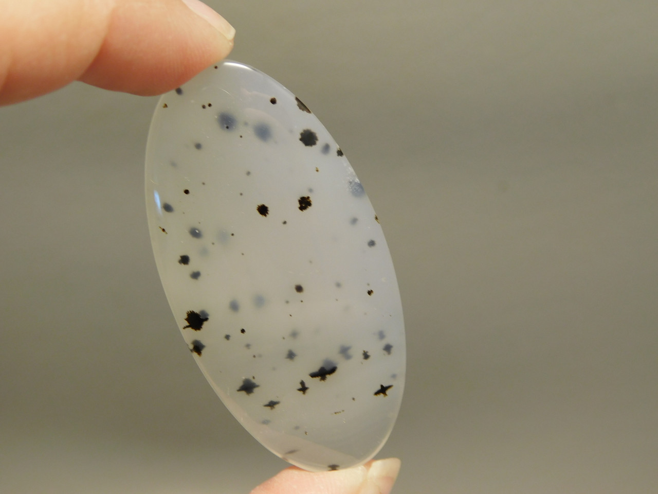 Montana Agate Cabochon #11