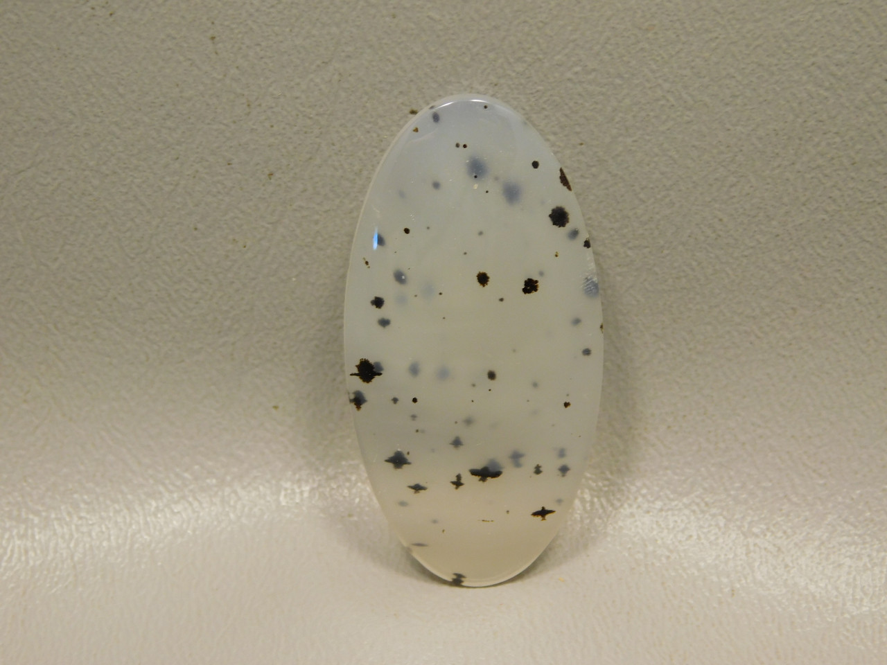 Montana Agate Cabochon #11