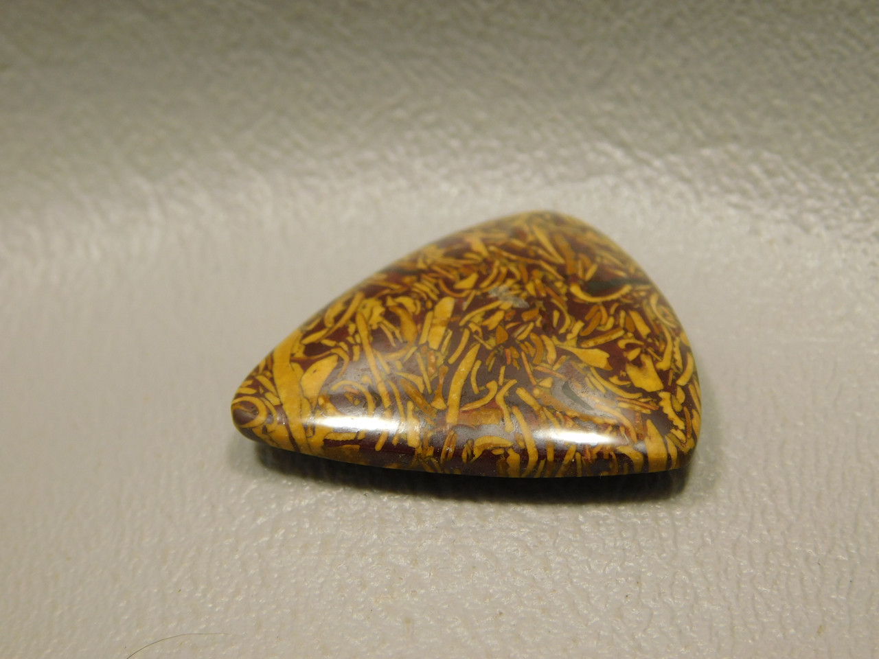 Coquina Jasper Cabochon #13