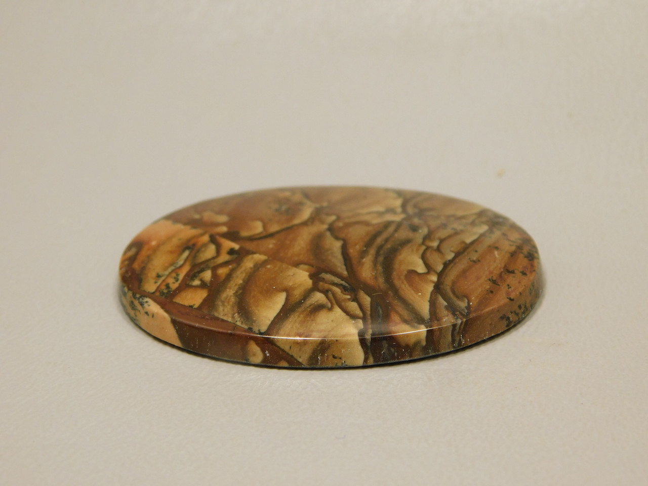 Deschutes Jasper Cabochon #8