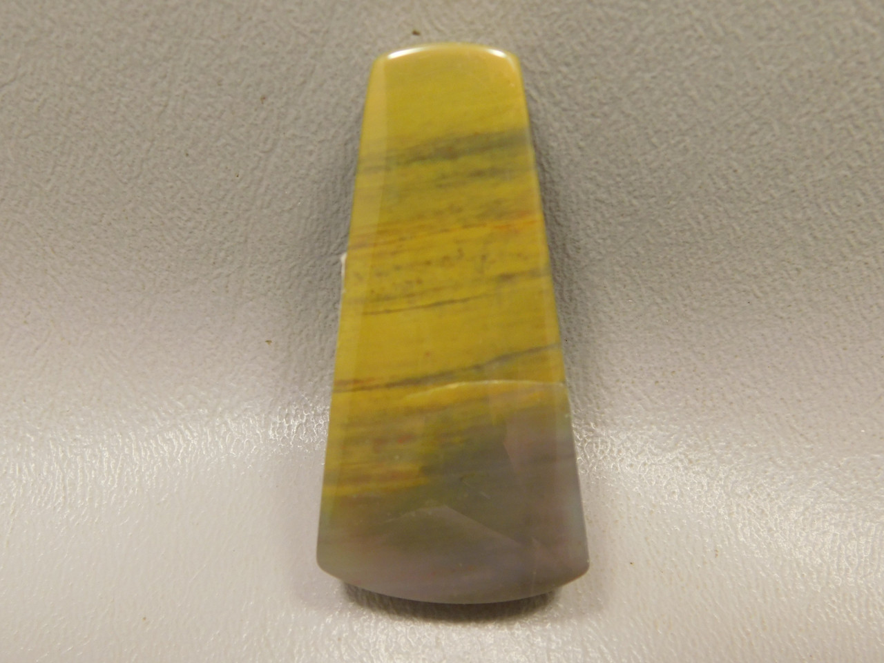 Arizona Rainbow Petrified Wood Stone Bead Pendant #2