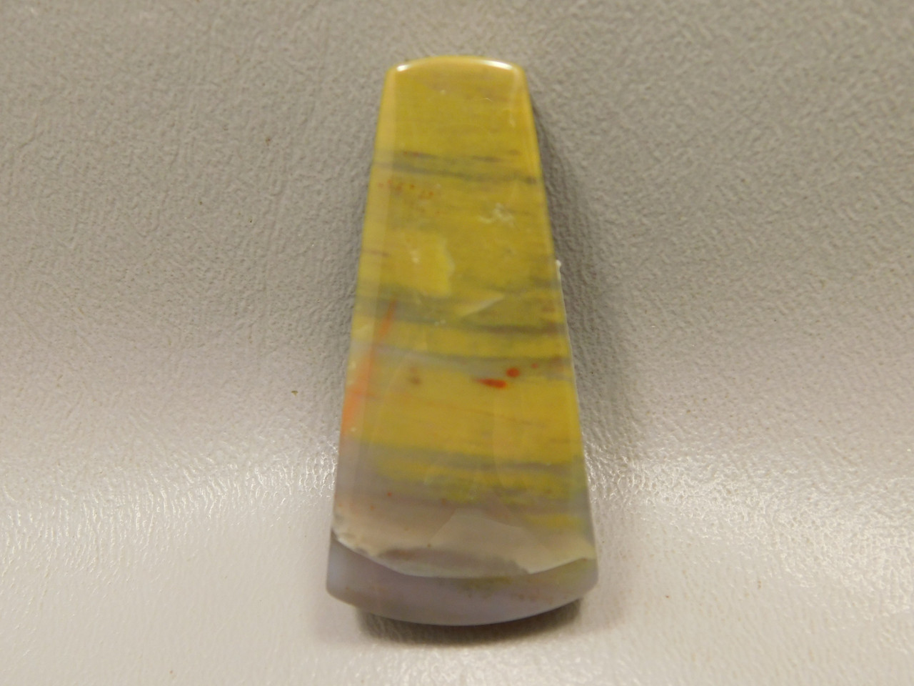 Arizona Rainbow Petrified Wood Stone Bead Pendant #2
