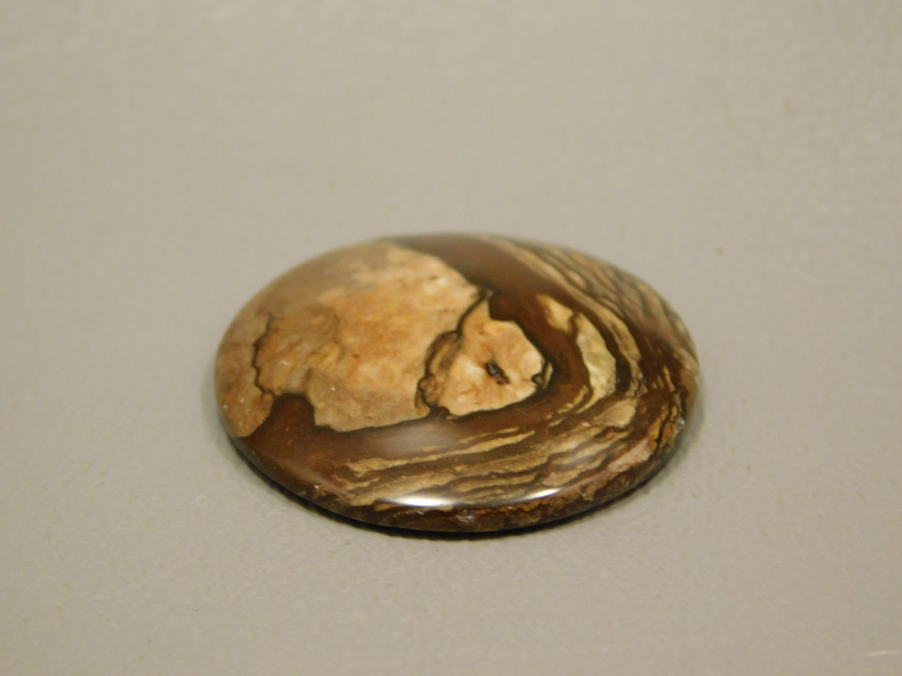 Deschutes Jasper Cabochon #17