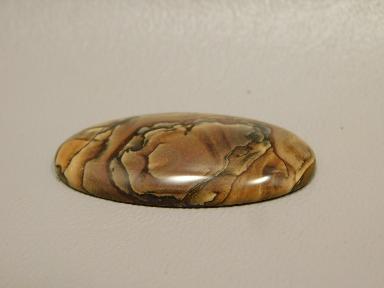 Deschutes Jasper Cabochon #15